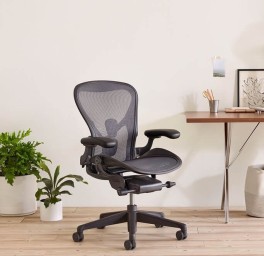 Aeron Remastered Size B